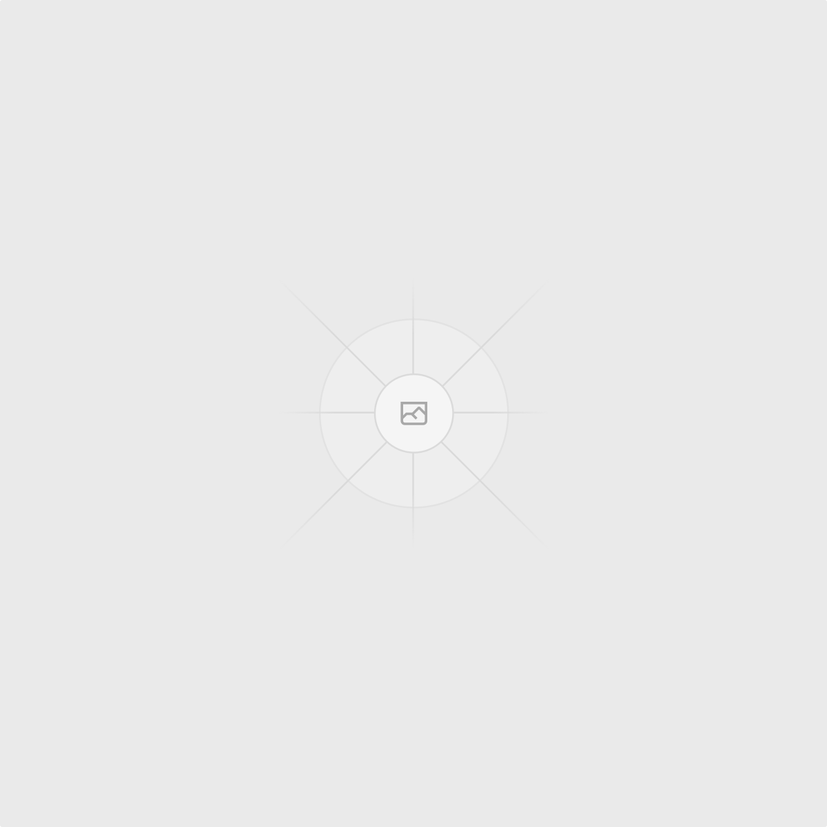 Shopify Partner